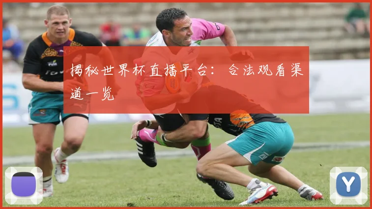 揭秘世界杯直播平台：合法观看渠道一览
