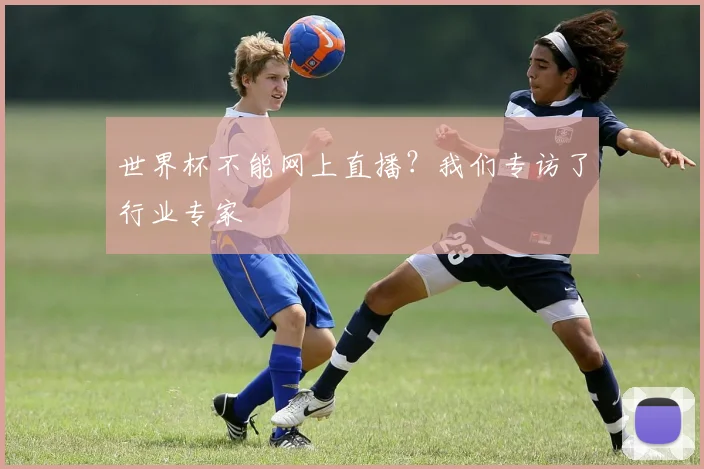 世界杯不能网上直播?我们专访了行业专家