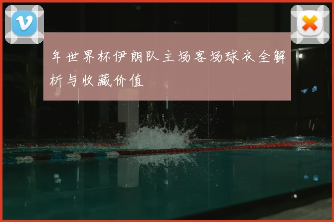 年世界杯伊朗队主场客场球衣全解析与收藏价值