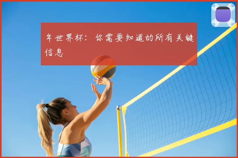 年世界杯：你需要知道的所有关键信息
