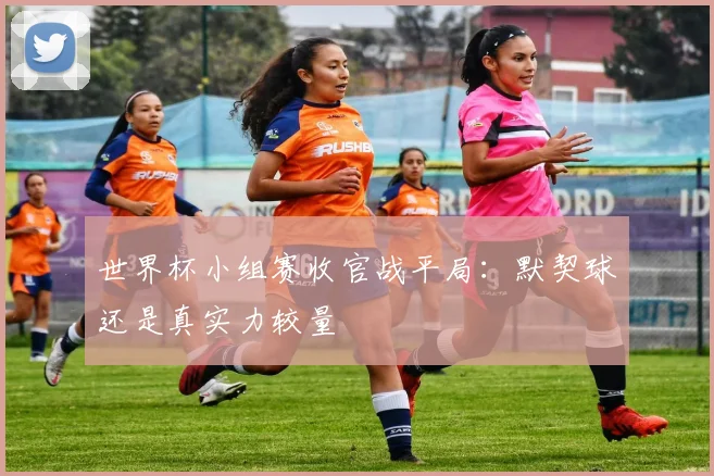 世界杯小组赛收官战平局:默契球还是真实力较量