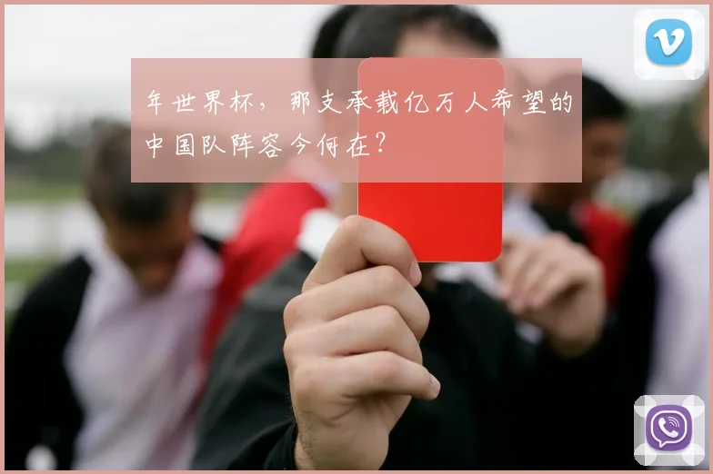 年世界杯，那支承载亿万人希望的中国队阵容今何在？
