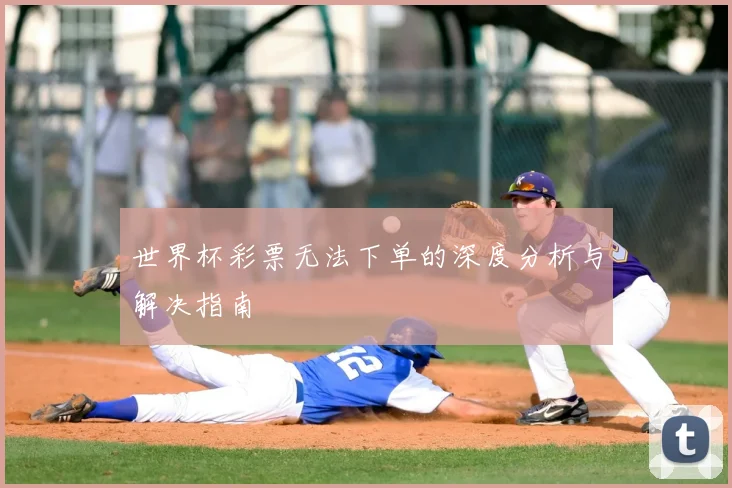 世界杯彩票无法下单的深度分析与解决指南