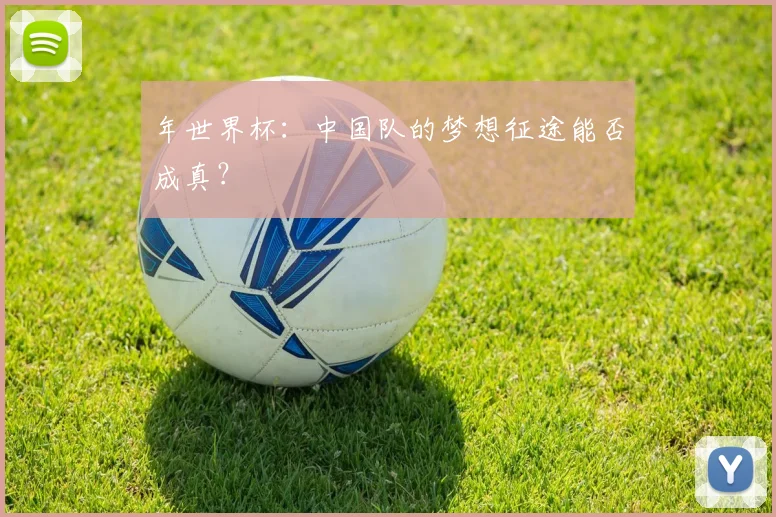 年世界杯：中国队的梦想征途能否成真？