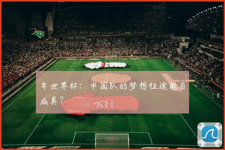 年世界杯：中国队的梦想征途能否成真？