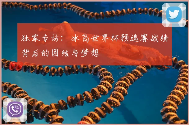 独家专访：冰岛世界杯预选赛战绩背后的团结与梦想
