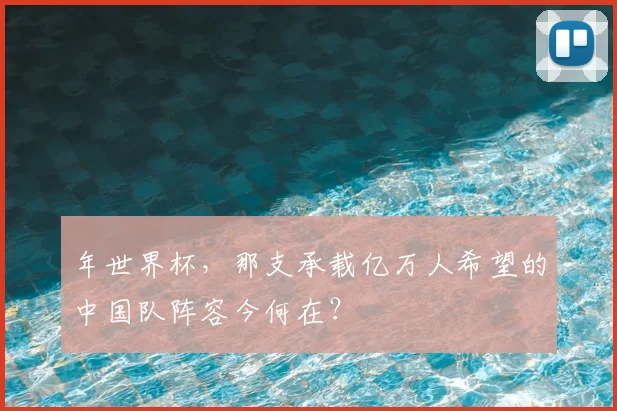 年世界杯，那支承载亿万人希望的中国队阵容今何在？