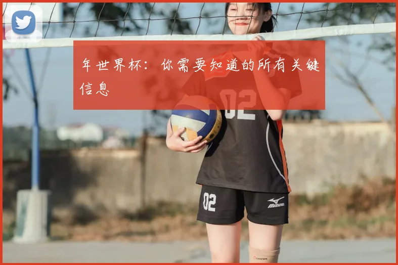 年世界杯：你需要知道的所有关键信息
