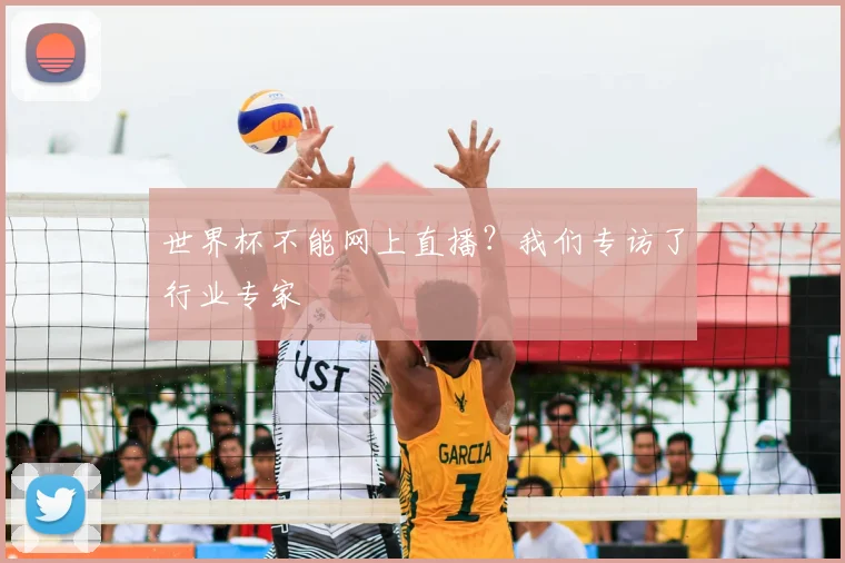 世界杯不能网上直播?我们专访了行业专家